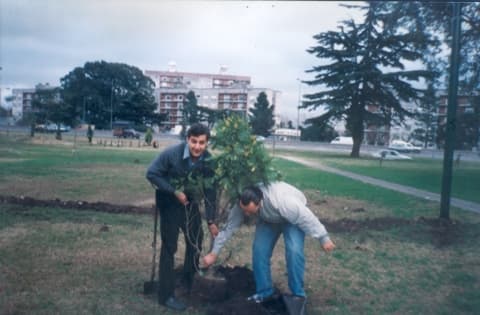 Parque con césped verde