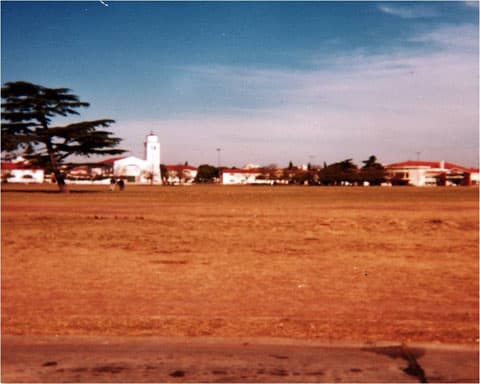Parque con césped bien cuidado y árboles del barrio