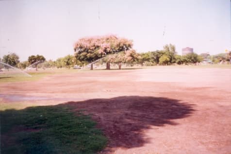 Parque arbolado con variedad de especies