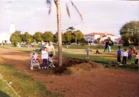 Camino de grava en el parque